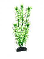 Barbus растение пластиковое Элодея plant 004 20см