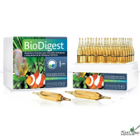 Prodibio BIO DIGEST - гипер-концентрированный бактериальный препарат (1 ампула)