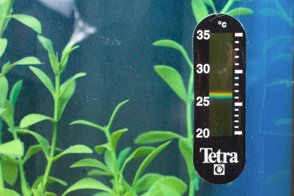 Tetra TH 35 Термометр наклейка жидкокристалический