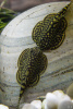 Севилия Линеолата  Псевдоскат  (Sewellia Lineolata) сом