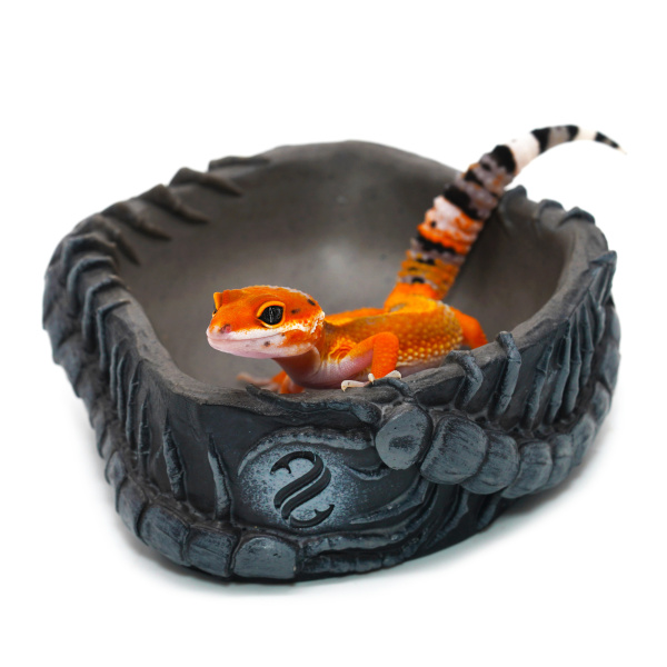Поилка круглая из искусственного камня Scaled Scolopendra Drinking Bowl 9 см