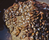 Мидия  дрейссена (Dreissena polymorpha) улитка