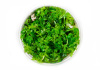 Лимнофила сидячецветковая (Limnophila sessiliflora)