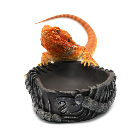 Поилка круглая из искусственного камня Scaled Scolopendra Drinking Bowl 14 см