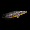 Змееголов Императорский (марулиодес) 
