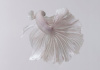 Петушок Халф Мун белый самец (Betta male Halfmoon white)