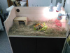 Грунт (наполнитель) для сухопутных черепах кукурузный  2,5 кг 6л